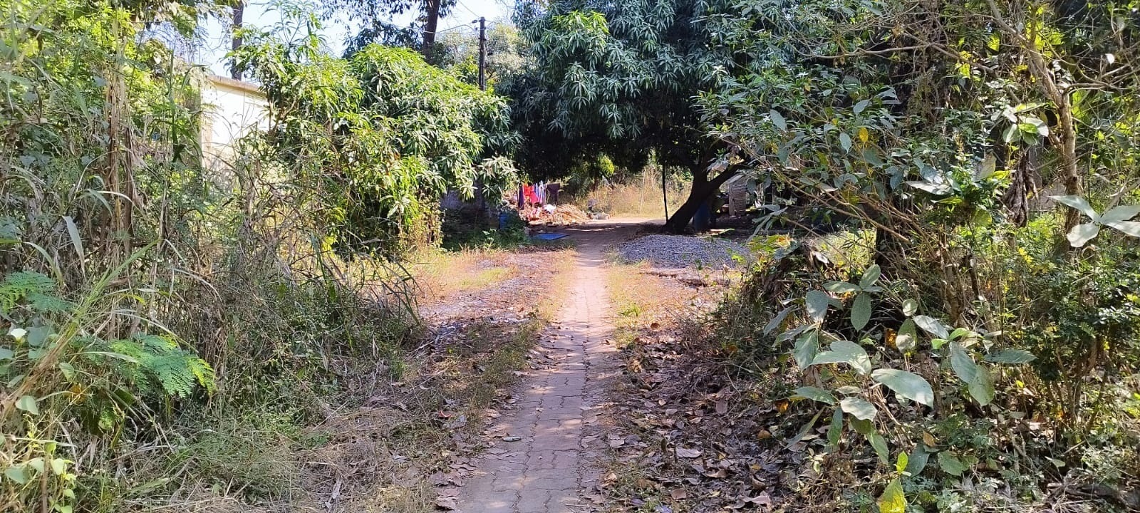 વાપી મનપાના ડુંગરામાં અઢી દાયકા ઉપરાંતથી ૭૦ પરિવારો પ્રાથમિક સુવિધા વિહોણા