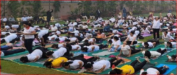 બીલીમોરામાં ૧૦૮ સૂર્ય નમસ્કાર સાથે ભવ્ય ‘યોગાથોન’ સંપન્ન