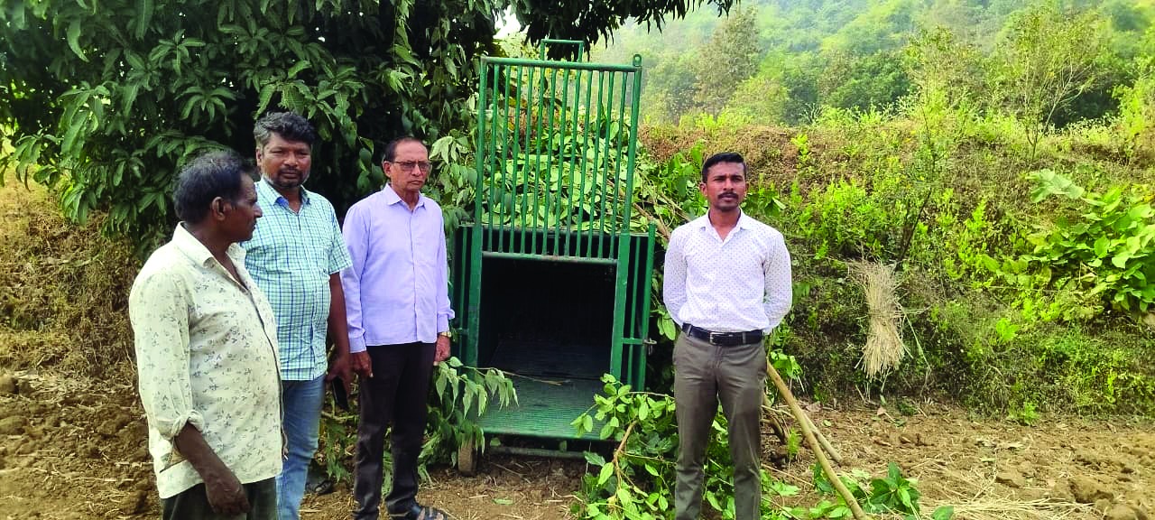 સીદુમ્બરમાં દીપડાના ડરથી પાંજરું ગોઠવાયું