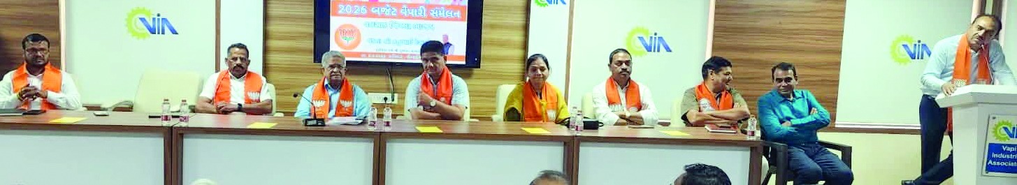 વાપીમાં બજેટ અંગે વ્યાપારી સંમેલન યોજાયું