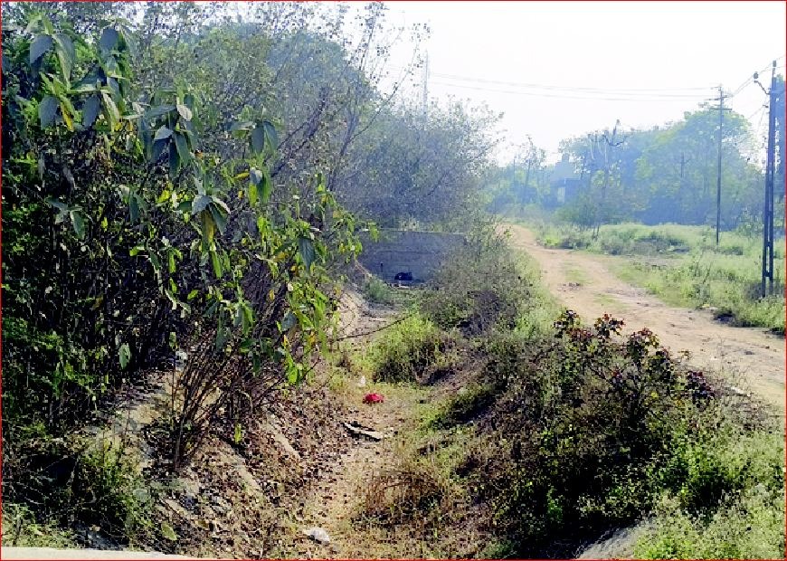 ગુંદલાવ હાઇવે બાજુની નહેર બિસ્માર