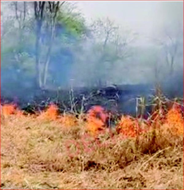 કપરાડાના રોહિયાળ તલાટમાં શોર્ટ સર્કિટથી ભીષણ આગ