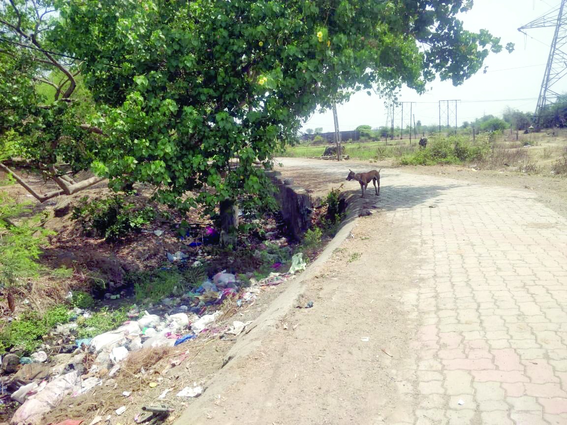 બલીઠામાં પ્રાથમિક સુવિધાઓનો અભાવ