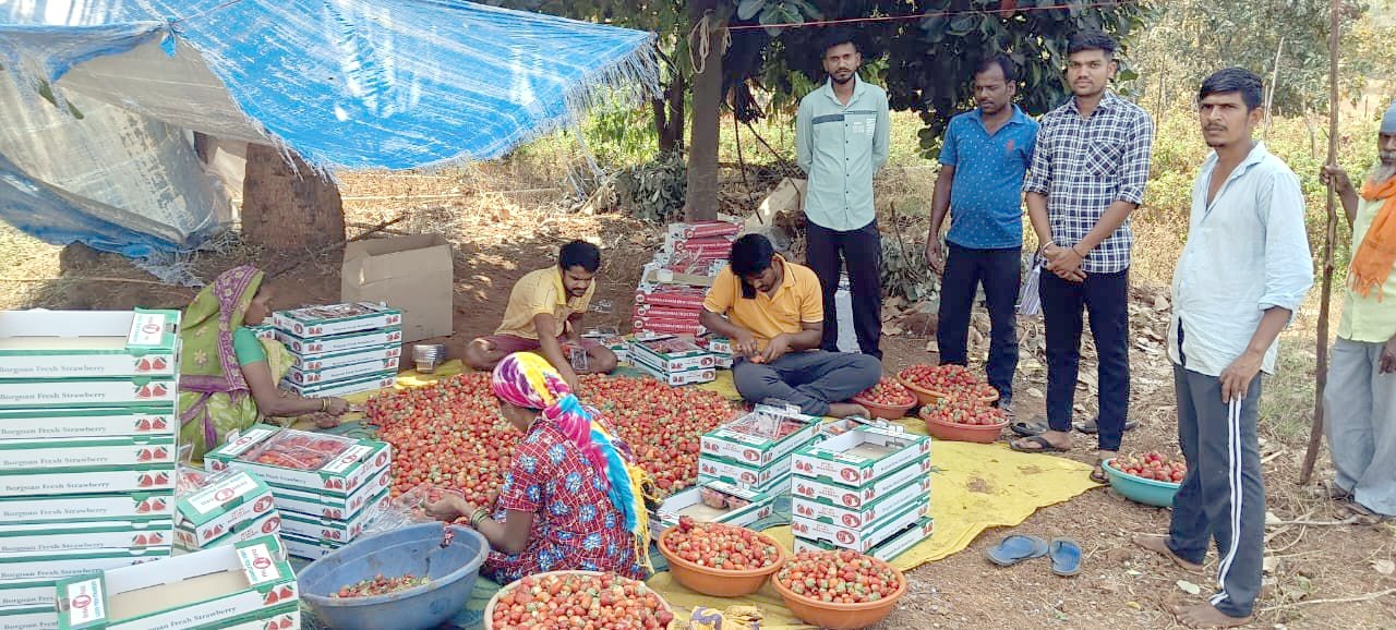 ડાંગ જિલ્લાનું સંભવિત પ્રથમ ‘જંગલ મોડેલ ફાર્મ’