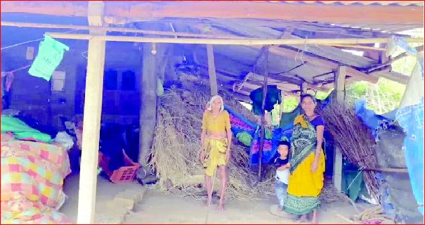 ઝરીયામાં દીપડાઍ મારણ કરવા છતાં પાંજરું નહીં ગોઠવાતા રોષ