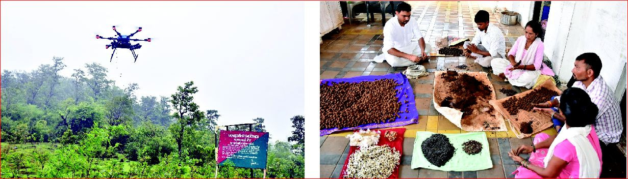 ધરમપુરમાં ૫૦ હજાર સીડ બોલ ડ્રોપ કર્યા