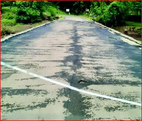 નાનાપોîઢા દોલધા નદીના પુલ પર રેલીંગના અભાવે જોખમ