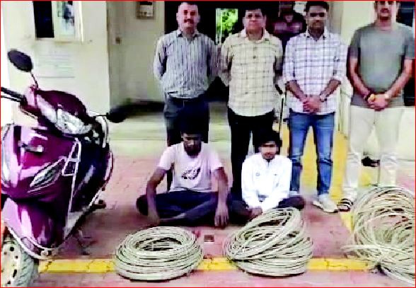 પારડીથી કેબલ ચોરીના બે ઈસમ ઝડપાયા