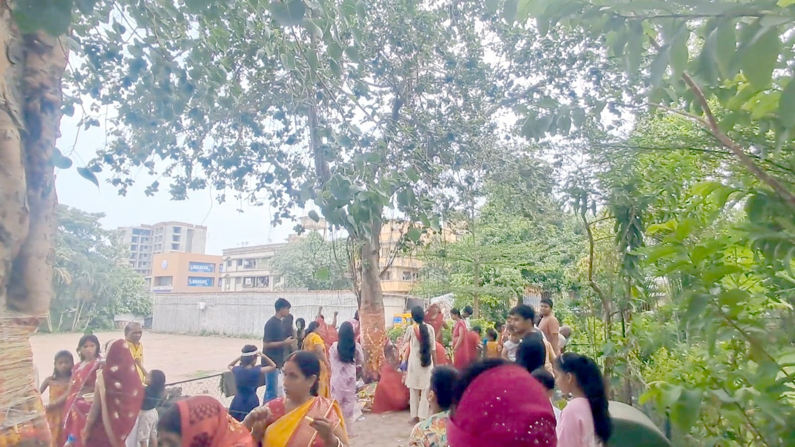 સેલવાસમાં વટ સાક્ષાત્કાર વ્રત નિમિતે મહિલાઓઍ વડના વૃક્ષની પૂજા કરી