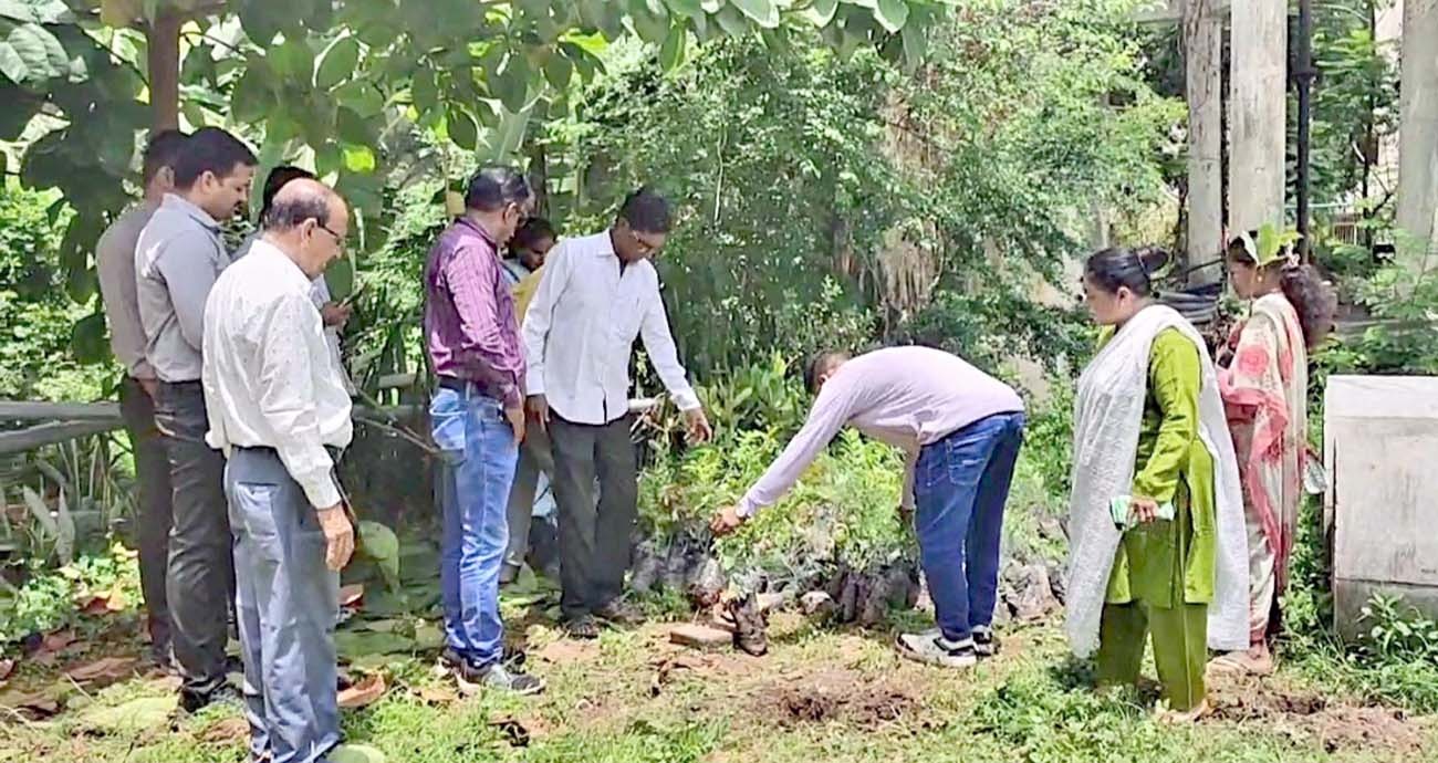 ઉમરગામની ગ્રામ પંચાયતોમાં ખાસ ગ્રામસભાઅોનું આયોજન કરાયું